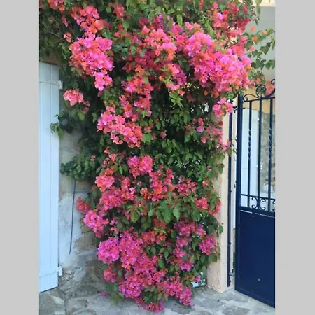 Villa Coco Le Lavandou